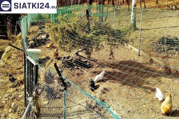 Siatki Dębno - Siatka na woliery - zabezpieczenia ptaków w hodowli dla terenów Dębna